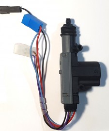 24 Volt 5 Wire CDL Master Motor