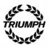 Triumph Alarms